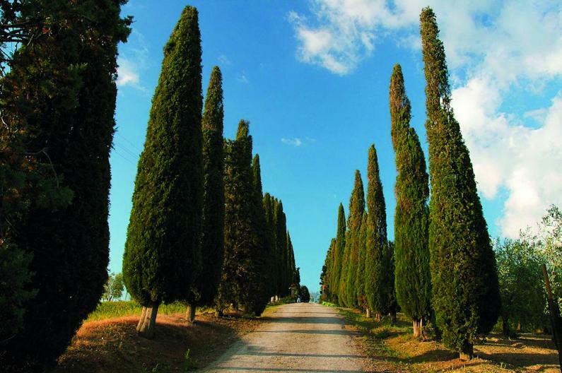 Le Traverse Pienza Exterior photo